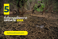 ​5-อันดับที่เที่ยวตราด-2566-ห้ามพลาด